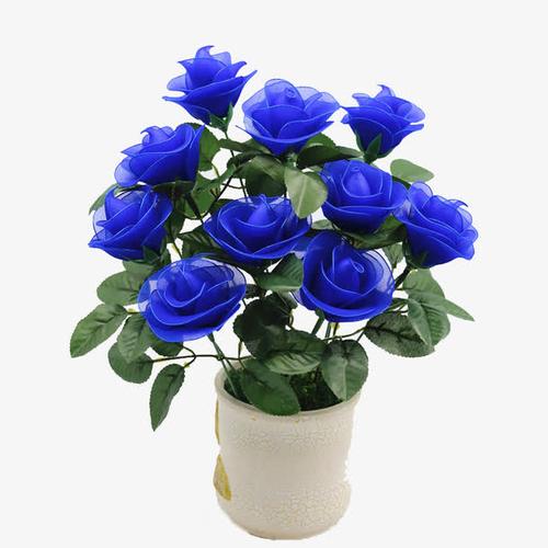 蓝色花卉礼物